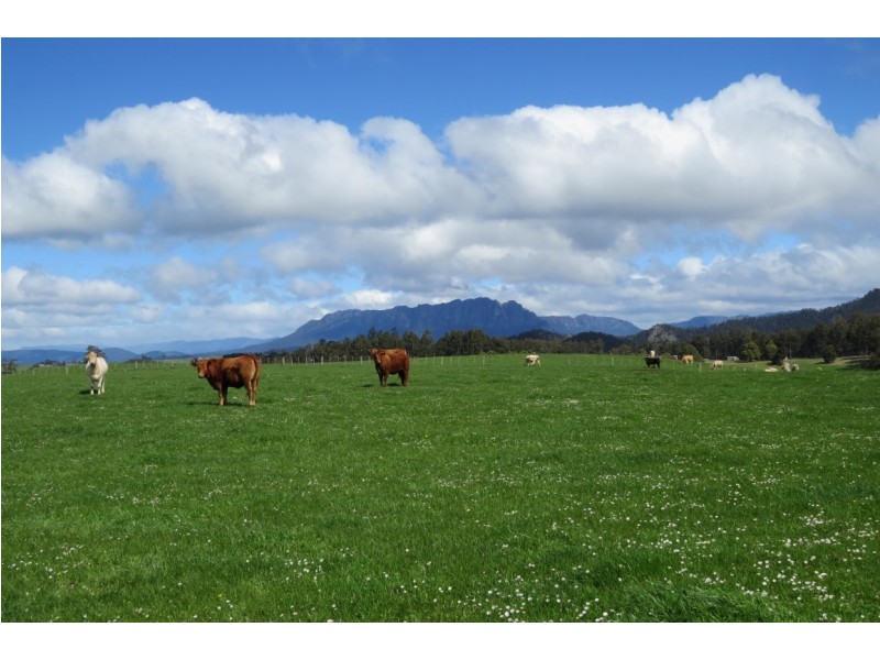 119 Moreys Road, Barrington TAS 7306