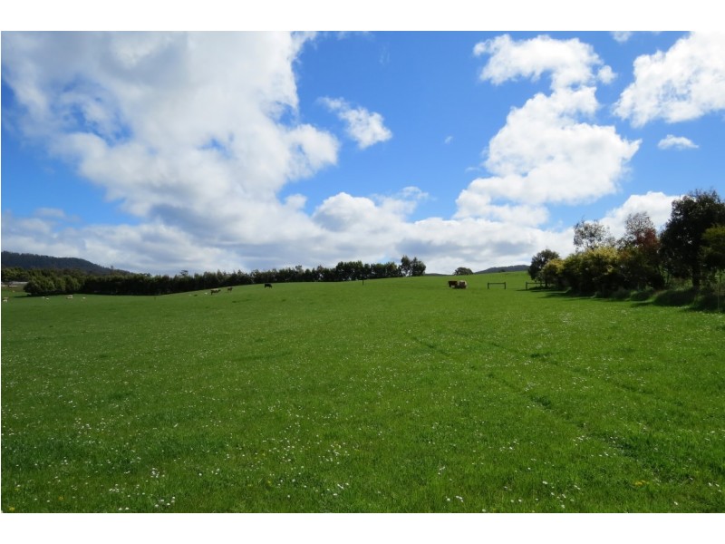 119 Moreys Road, Barrington TAS 7306