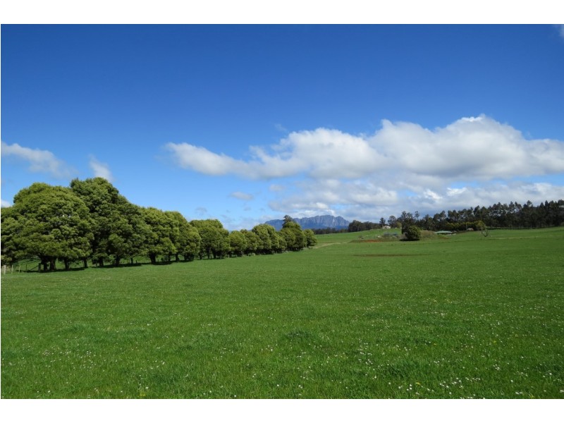 119 Moreys Road, Barrington TAS 7306