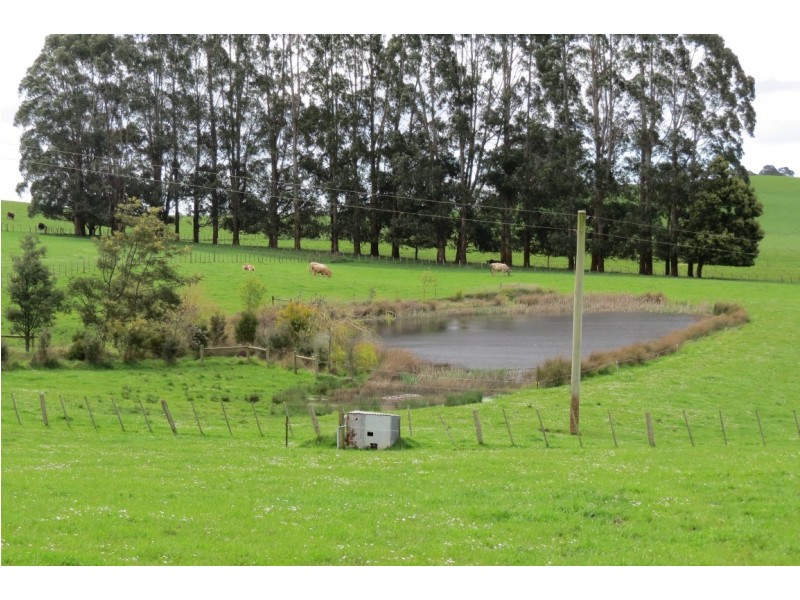 119 Moreys Road, Barrington TAS 7306