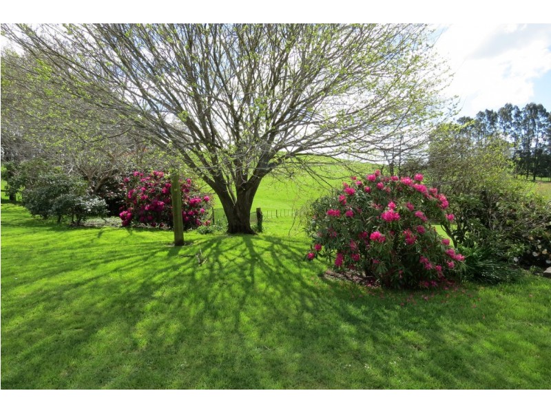 119 Moreys Road, Barrington TAS 7306