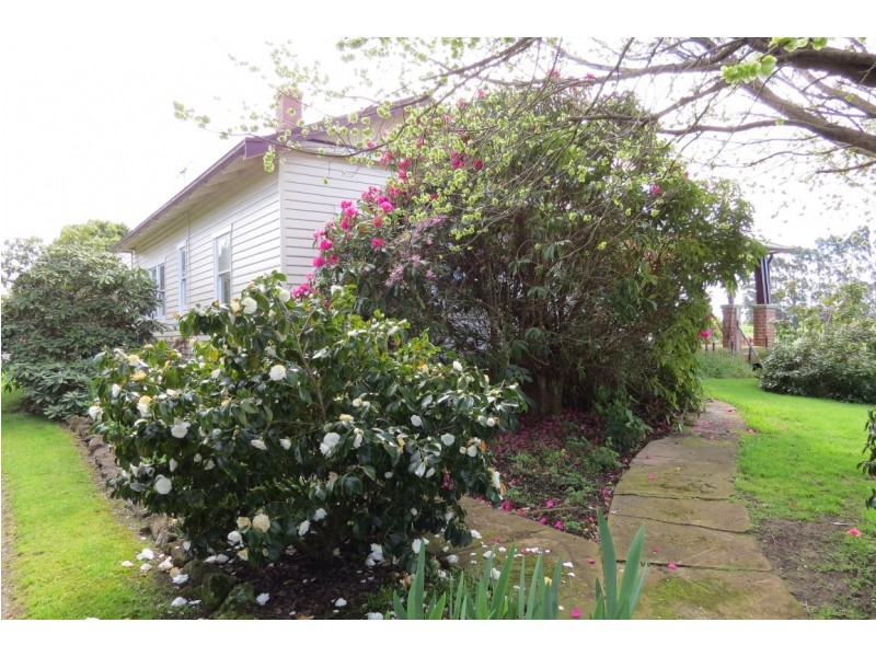 119 Moreys Road, Barrington TAS 7306