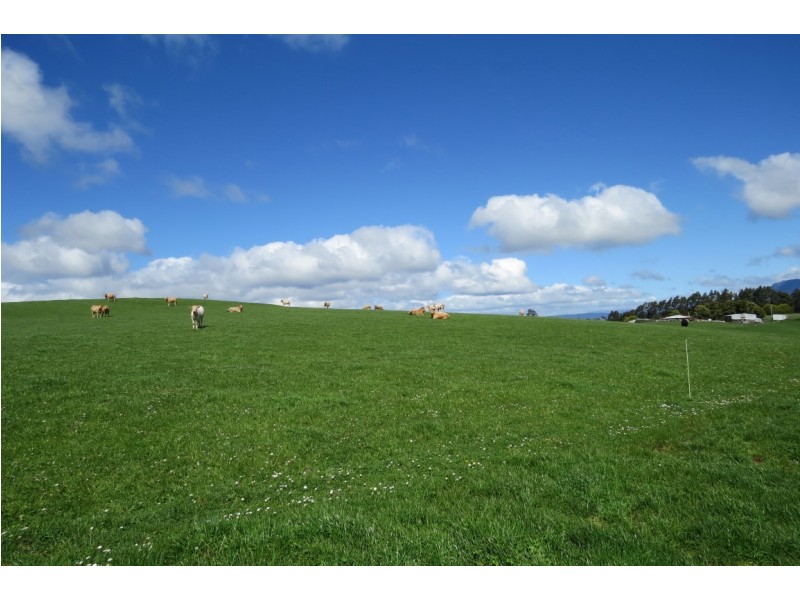 119 Moreys Road, Barrington TAS 7306