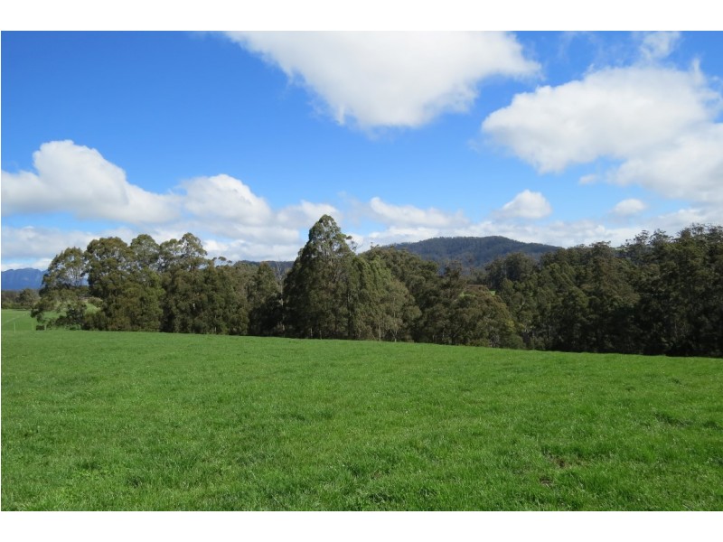 119 Moreys Road, Barrington TAS 7306