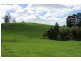 119 Moreys Road, Barrington TAS 7306