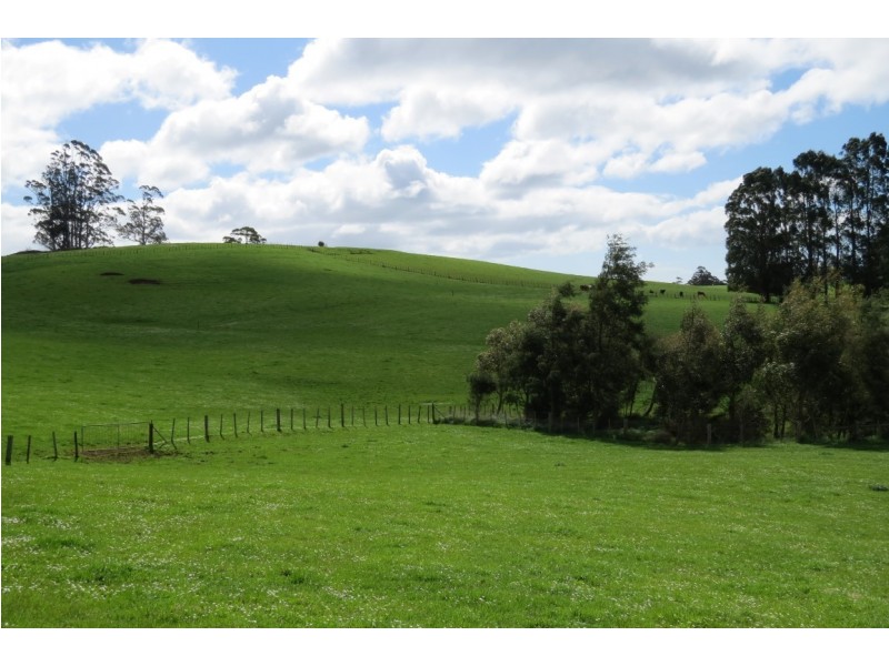 119 Moreys Road, Barrington TAS 7306