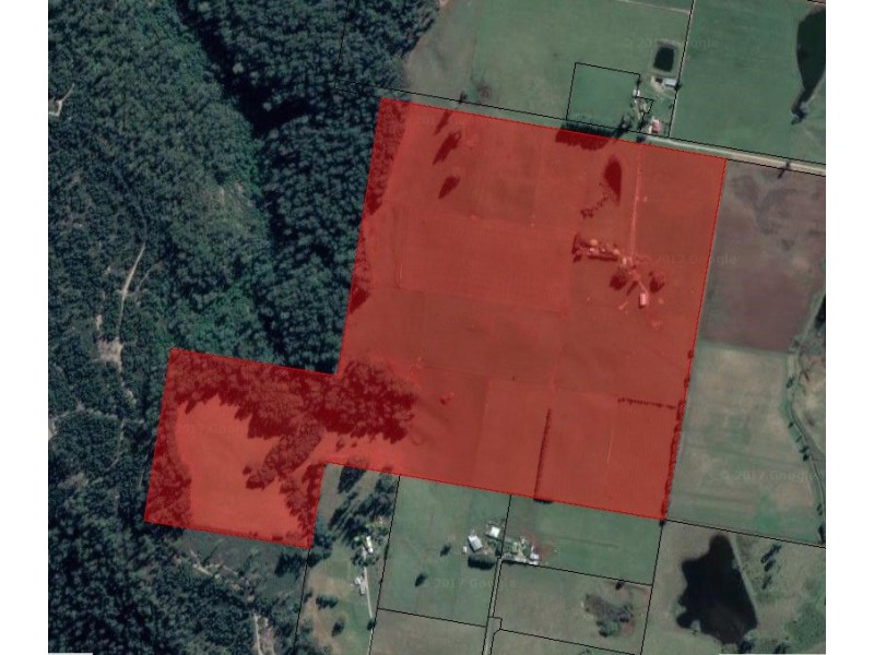 119 Moreys Road, Barrington TAS 7306