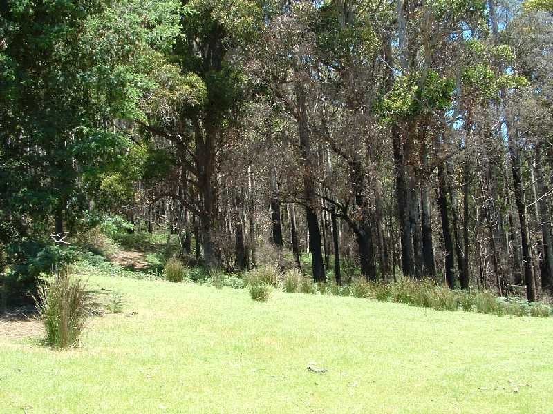 146 McCoys Road, Sheffield TAS 7306