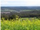 Lot 8 Maloneys Road, Sunnyside TAS 7305