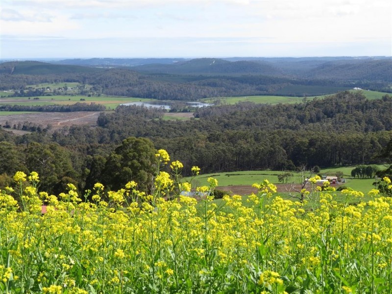 Lot 8 Maloneys Road, Sunnyside TAS 7305