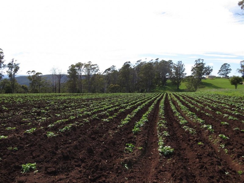 Lot 8 Maloneys Road, Sunnyside TAS 7305