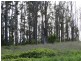 Lot 8 Maloneys Road, Sunnyside TAS 7305