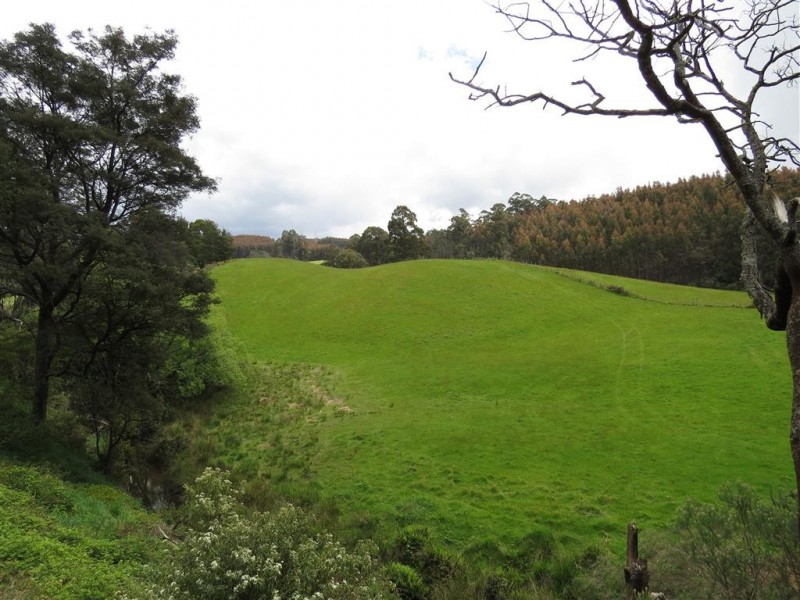 148 Holmes Road, Roland TAS 7306