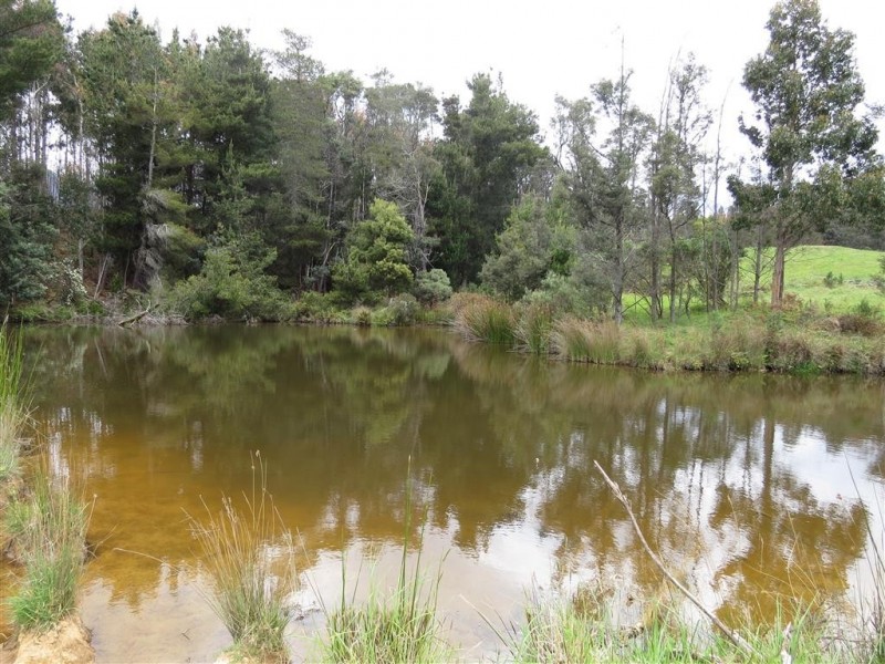 148 Holmes Road, Roland TAS 7306