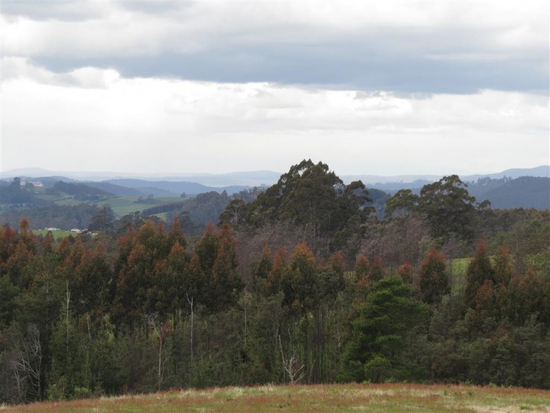 148 Holmes Road, Roland TAS 7306