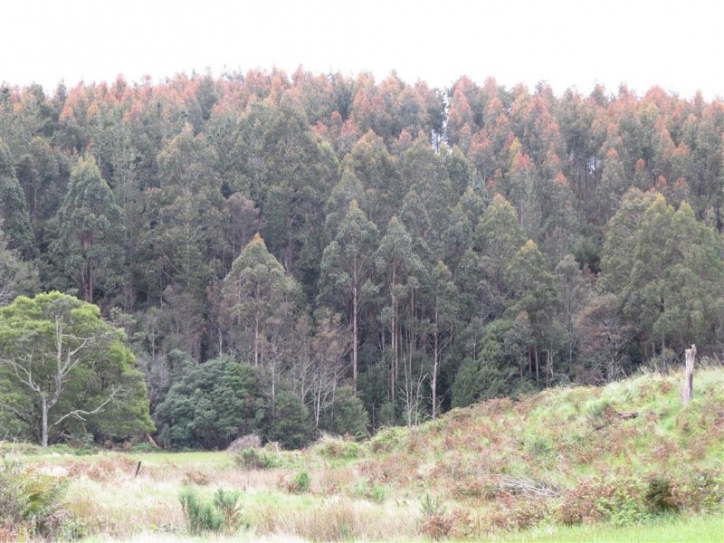 148 Holmes Road, Roland TAS 7306