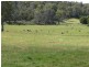 50 Native Rock Road, Railton TAS 7305