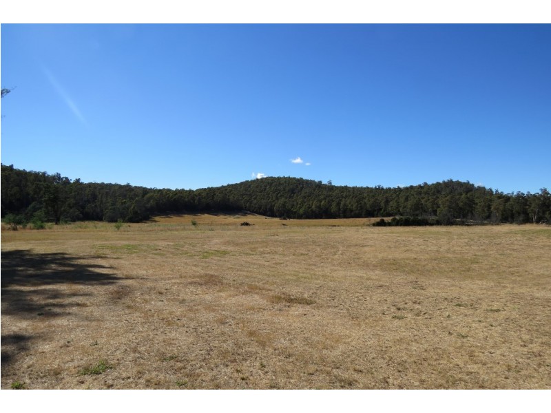 22 Lovetts Flats Road, Sassafras TAS 7307
