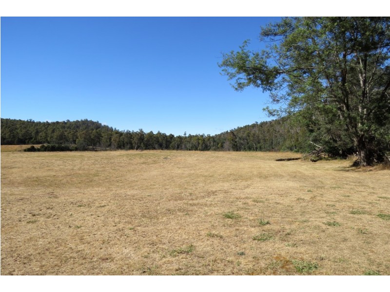 22 Lovetts Flats Road, Sassafras TAS 7307