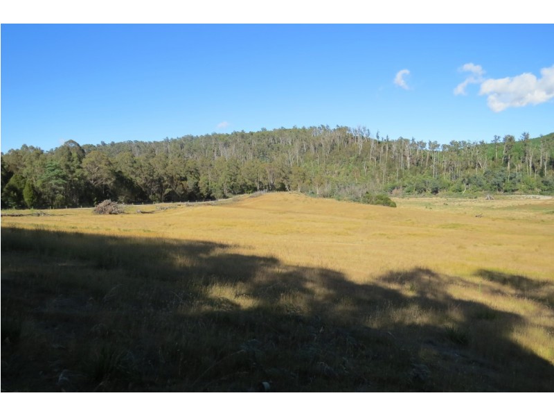 22 Lovetts Flats Road, Sassafras TAS 7307