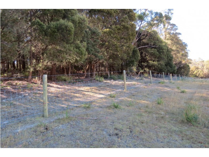 22 Lovetts Flats Road, Sassafras TAS 7307