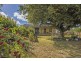 5 West Nook Road, Sheffield TAS 7306