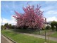 113 High Street, Sheffield TAS 7306