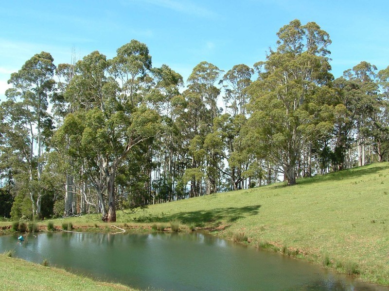 Lot 1 Maloneys Road, Sunnyside TAS 7305