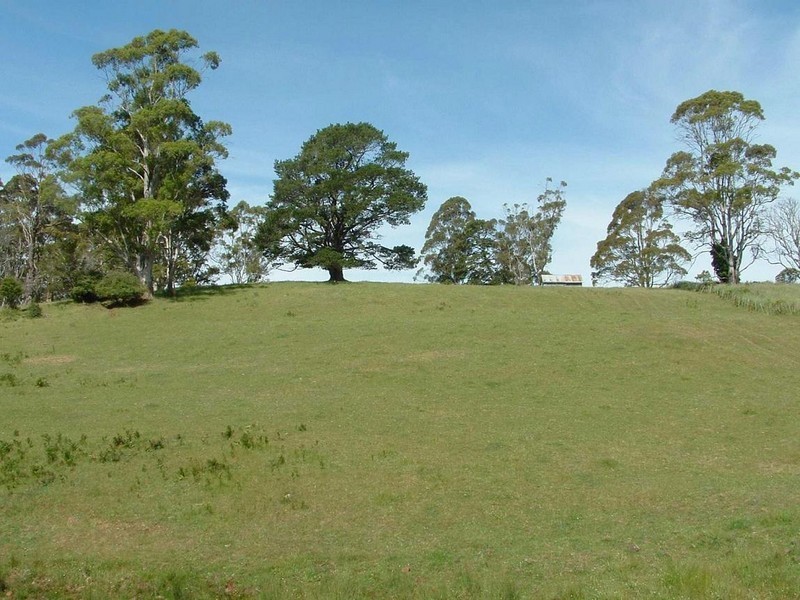 Lot 1 Maloneys Road, Sunnyside TAS 7305