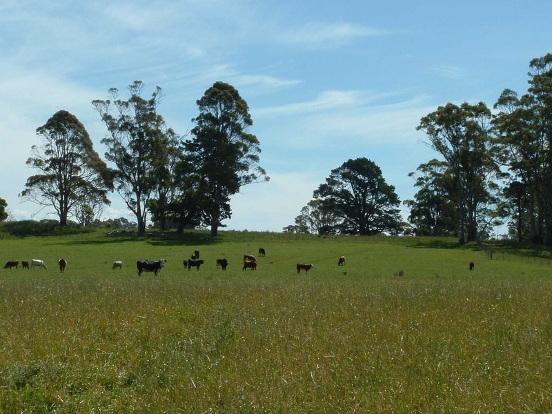Lot 1 Maloneys Road, Sunnyside TAS 7305