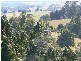 0 Staverton Road, Sheffield TAS 7306