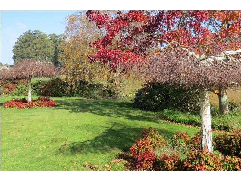 82 Hamptons Road, Sheffield TAS 7306