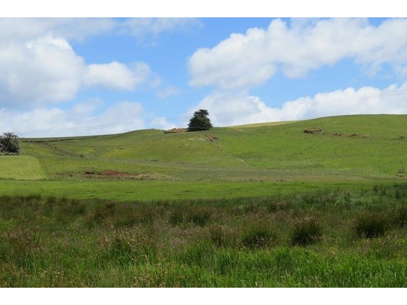 156 Cables Road, Sheffield TAS 7306
