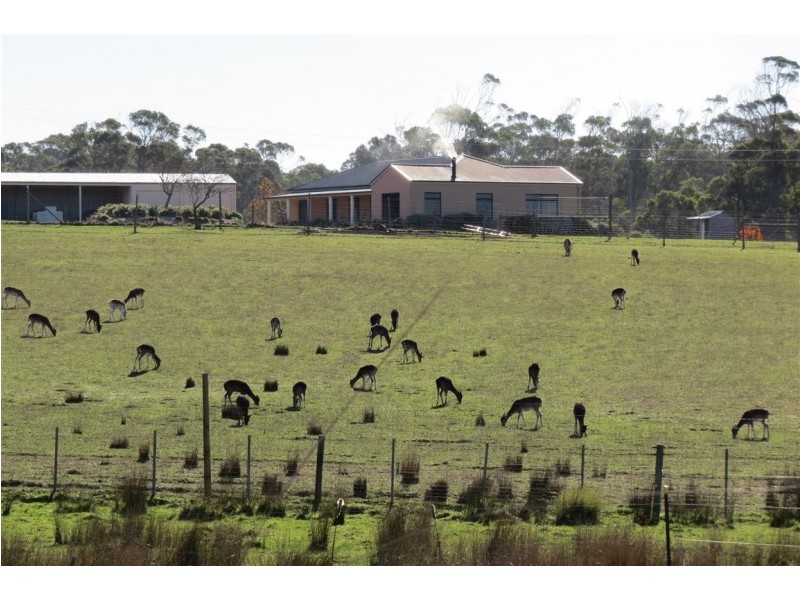 151 Appleby Road, Northdown TAS 7307