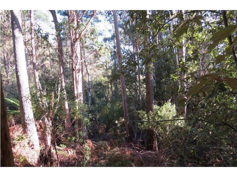 . Staverton Road, Staverton TAS 7306