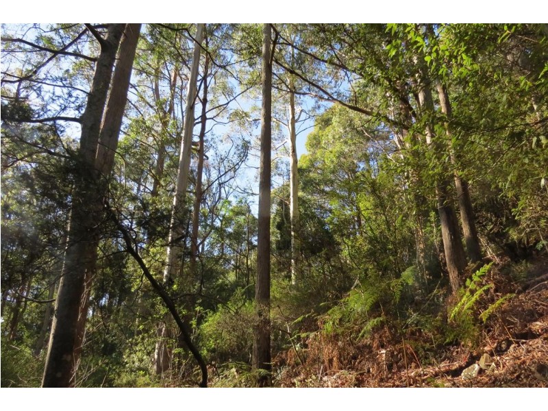 . Staverton Road, Staverton TAS 7306