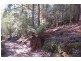 . Staverton Road, Staverton TAS 7306