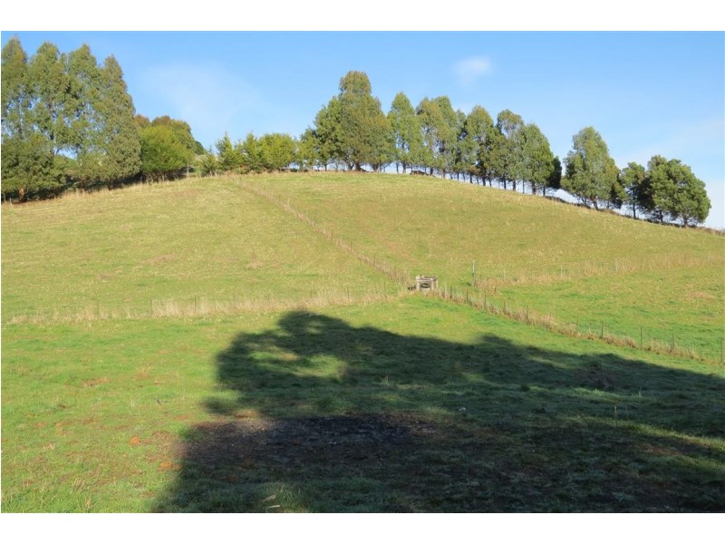 52 Marshall Road, Nook TAS 7306