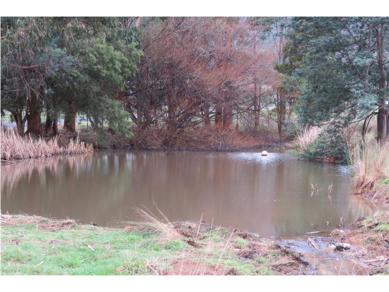52 Marshall Road, Nook TAS 7306