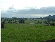 141 Vinegar Hill Road, Sheffield TAS 7306
