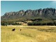 7 Deacons Close, Claude Road TAS 7306