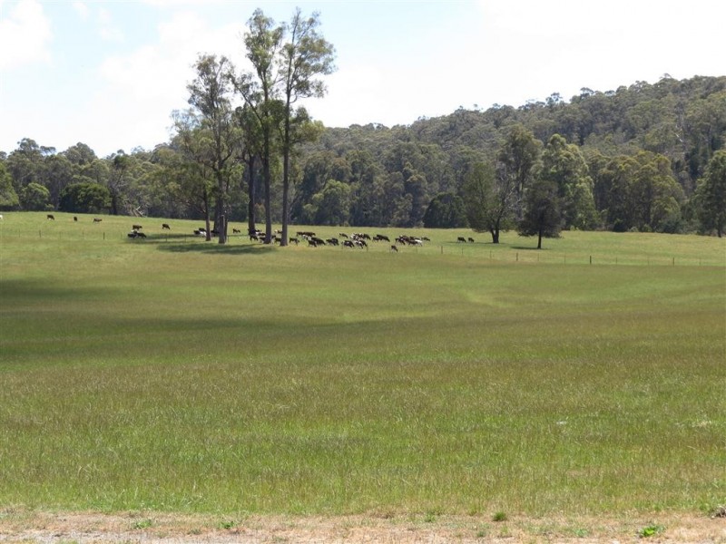 50 Native Rock Road, Railton TAS 7305