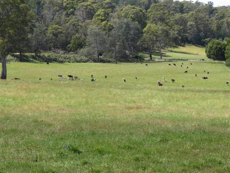 50 Native Rock Road, Railton TAS 7305