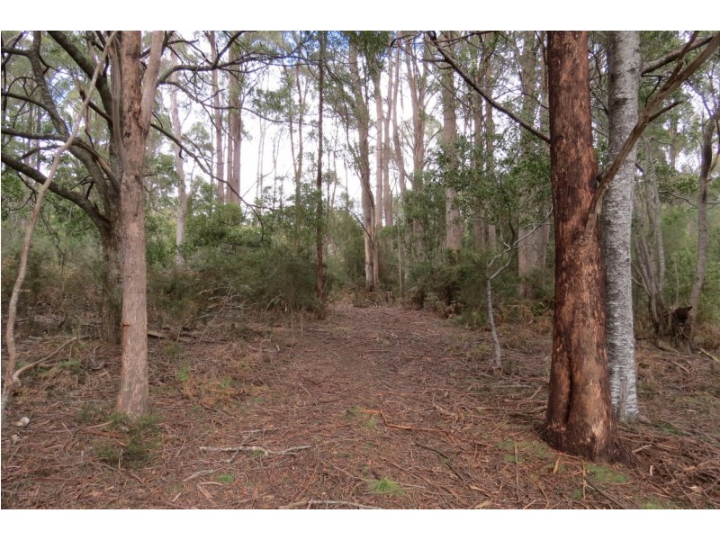 916 Lower Beulah Road, Lower Beulah TAS 7306