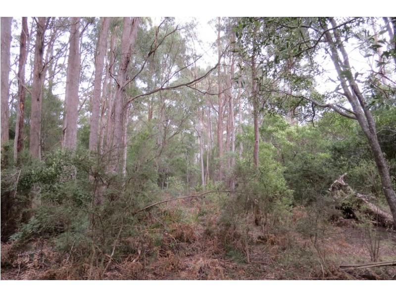 916 Lower Beulah Road, Lower Beulah TAS 7306