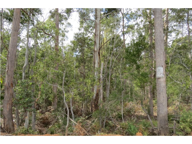 916 Lower Beulah Road, Lower Beulah TAS 7306