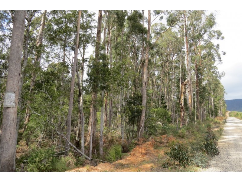 916 Lower Beulah Road, Lower Beulah TAS 7306