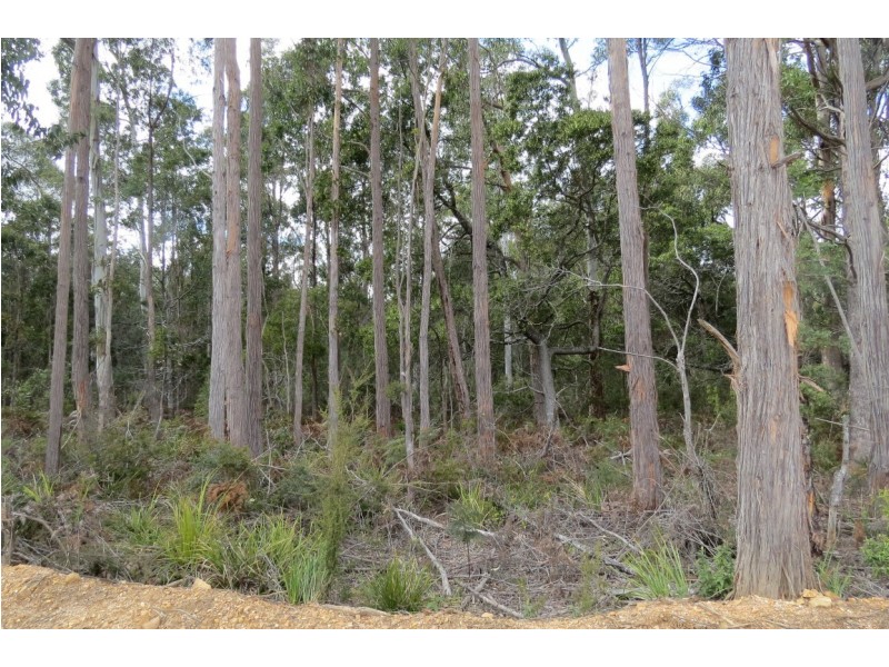 916 Lower Beulah Road, Lower Beulah TAS 7306