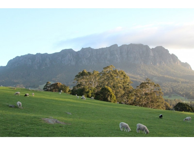202 Lockwoods Road, Claude Road TAS 7306