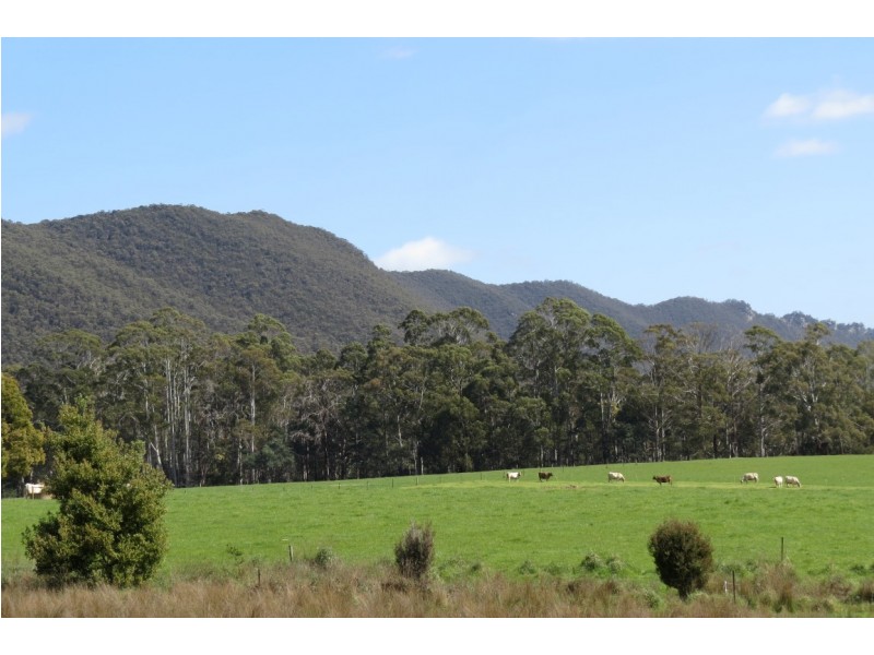251 New Bed Road, Railton TAS 7305